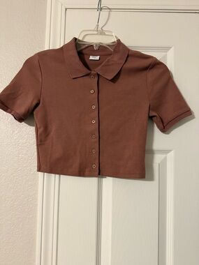 Aritzia Sunday Best Cropped Button-Up Polo Top in Brick